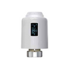 Smart OLED Display Thermostatic Radiator Valve