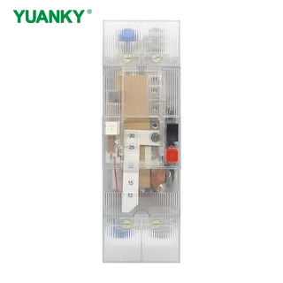 YUANKY PG Series Leakage Protective Circuit Breaker 220V 380V 2P 4P 300MA 15A 30A 60A Elcb