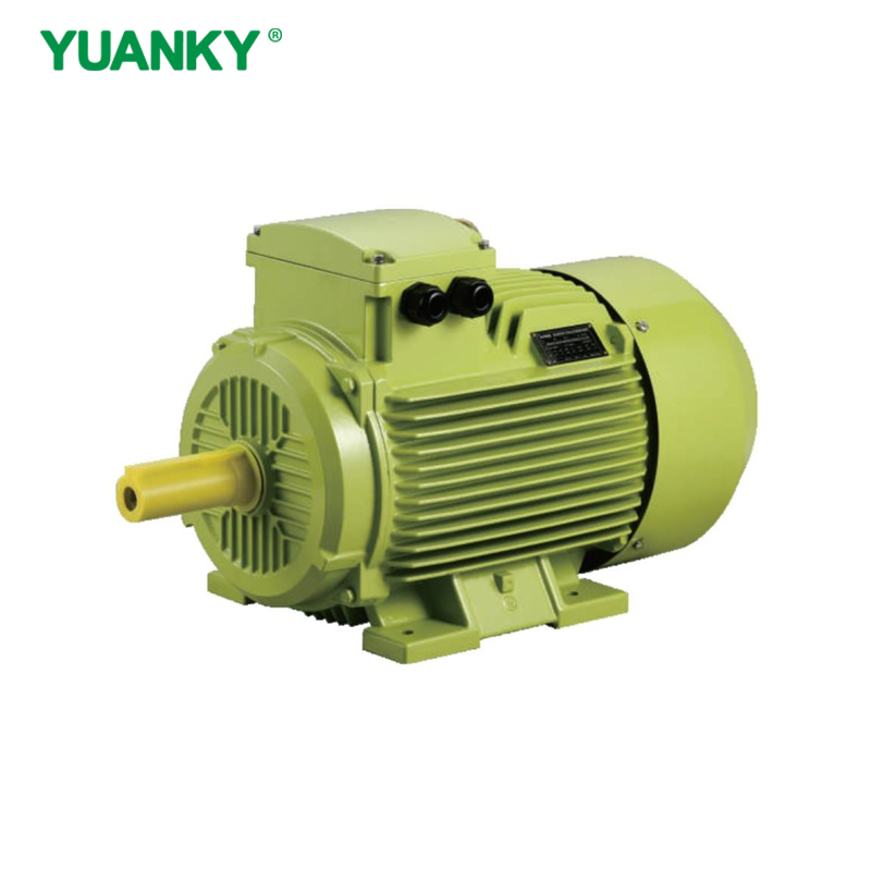 YUANKY Industry YE4 SERIES IC411 IP55 HIGH EFFICIENCY THREE-PHASE ASYNCHRONOUS MOTOR