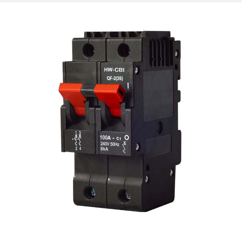 Professional Factory-Made Miniature Circuit Breaker 1P 2P 3P MCB 5-100A Capability 6KA AC MCB