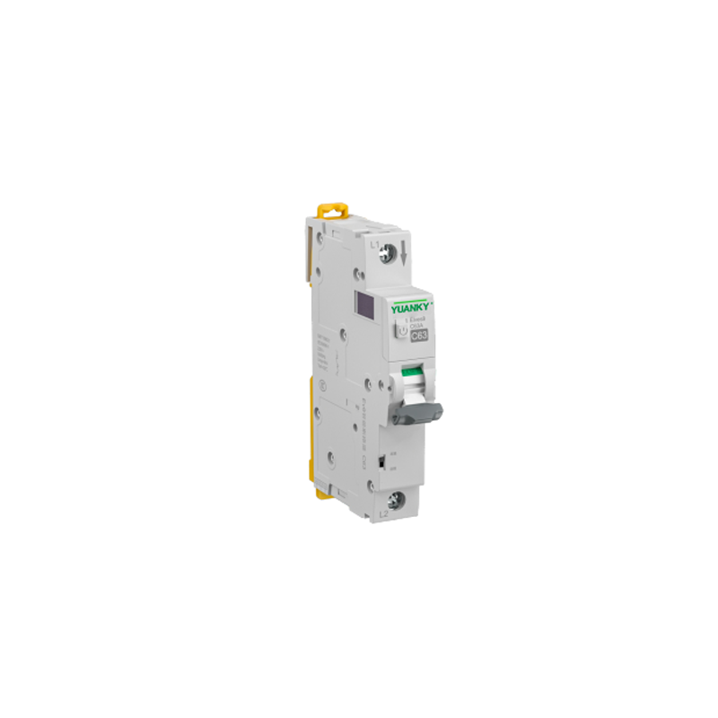 Intelligent Circuit Breaker Ev9m-D230-1P 2P