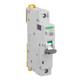 Intelligent Circuit Breaker Ev9m-D230-1P 2P