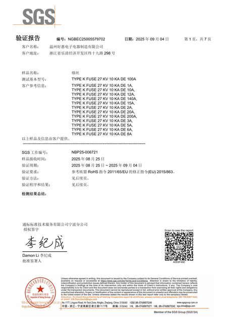  SGS ROHS-1