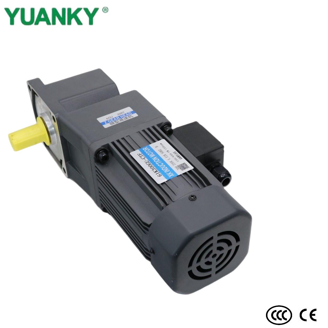 YUANKY Series Miniature Decelerating Motor, Mini Gear Speed Reduction Motor