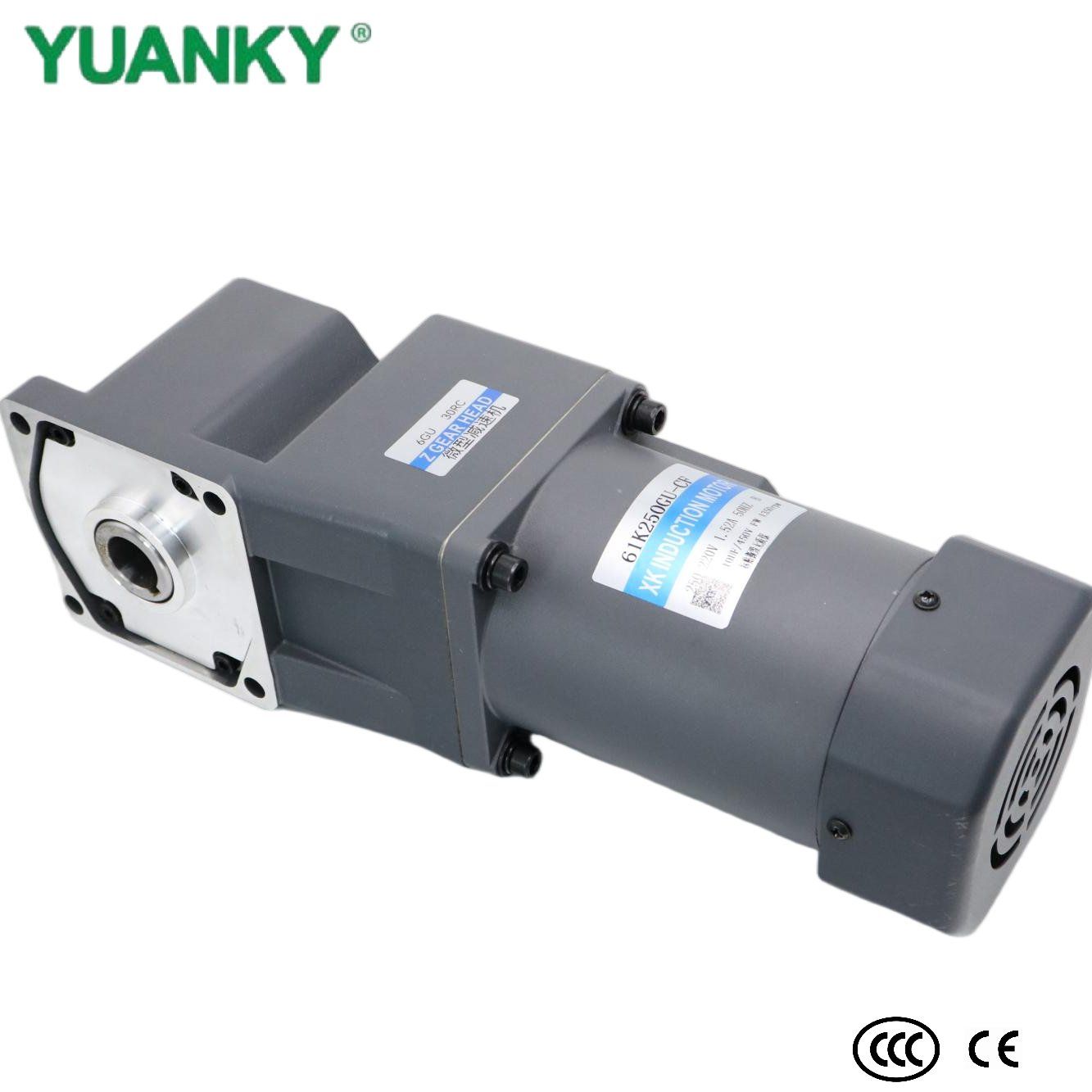YUANKY Series Miniature Decelerating Motor, Mini Gear Speed Reduction Motor