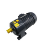 Motorreductor de desaceleraci&oacute;n de CA trif&aacute;sico serie YUANKY CH/CV